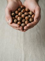 Male hands holding roasted hazelnuts, showcasing organic nuts for healthy snacking, cooking, and food production concepts.