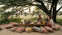 Outdoor picnic gathering under large tree with bohemian decor, colorful floor cushions, hanging lanterns, and two women enjoying food and drinks in natural setting for lifestyle and event planning.