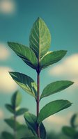 Fresh green plant stem with vibrant leaves against turquoise sky with soft clouds, showcasing new growth and natural botanical details for wellness and environmental design projects.