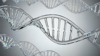 DNA double helix structure with genetic code sequences for medical research and biotechnology applications in molecular biology studies.