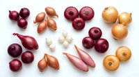 Assorted fresh onions and shallots in various colors and sizes arranged on white background, perfect for culinary designs and cooking concepts.
