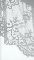 Delicate lace fabric with ornate floral and scrollwork patterns casting soft shadows on white background. Suitable for wedding, fashion, textile and design projects.