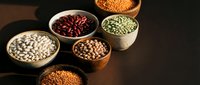 Assorted legumes and pulses in bowls on dark surface, including beans, lentils, and peas for cooking and nutrition.