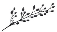 Elegant botanical branch with delicate oval leaves and berries in minimalist black silhouette style, hand drawn nature element for decorative design projects.