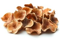 Dried shiitake mushrooms isolated on white background for culinary cooking ingredients and healthy organic food recipes.