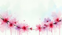 Watercolor cherry blossom branches with pink flowers and paint drips on white background for spring designs and floral decorations.