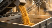 Golden grain pouring from industrial equipment into storage container at agricultural processing facility with warm sunlight and dust particles.