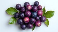 Fresh ripe muscadine grapes with water drops and green leaves on white background, natural organic fruit composition for healthy eating and wine making.