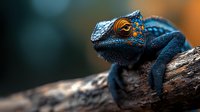 Vibrant blue panther chameleon with orange accents resting on tree branch against dark background, showcasing detailed scales and distinctive head crest in macro photography.