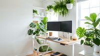 Modern workspace with dual monitors on wooden desk surrounded by lush green plants, white shelving, and natural light from windows, ideal for office and home workspace design projects.