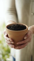Hands holding terracotta pot with rich soil, ready for planting seeds or seedlings in home gardening environment.