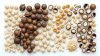 Assorted nuts and seeds arranged by type and color on white background, including whole and halved macadamia, hazelnuts, almonds, and sesame for culinary, nutritional, and design projects.