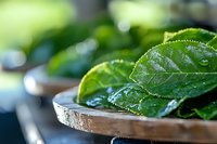 Fresh green tea leaves with water drops on ceramic plate, shallow depth of field macro photography creates soft bokeh background effect.