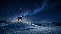 Silhouette of a deer standing on snowy hill under starry night sky with aurora borealis and crescent moon, winter landscape for nature and wildlife themes.