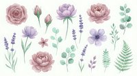 Watercolor floral elements set with pink roses, purple peonies, lavender sprigs and green eucalyptus leaves isolated on transparent background for design.