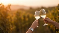 Couple toasting with white wine glasses at sunset in vineyard during golden hour creating romantic atmosphere for celebration and leisure moments.