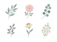 Botanical line art illustrations featuring delicate leaves, flowers and branches in soft pastel colors on white background, isolated and ready for design use on textiles and graphics.