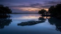 Tranquil lake at twilight with mangrove trees and rocky outcrop reflecting in calm water under purple sunset sky creating peaceful natural landscape.