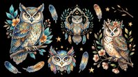 Owl collection with decorative foliage, feathers, and stars isolated on transparent background, ready for t-shirt design, stickers, sublimation, print-on-demand products, and clipart applications.