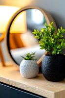 Modern home decor with round mirror, small potted plants on wooden shelf, and warm lamp reflection creating cozy atmosphere.