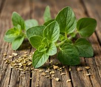 Fresh oregano sprigs with dried herb flakes on rustic wooden surface, showcasing aromatic culinary herb for cooking and natural food photography.