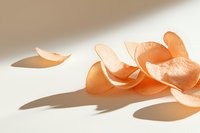 Fresh orange shrimp chips scattered on white surface with dramatic shadows in natural sunlight, minimalist food composition for modern design projects.