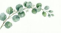 Watercolor eucalyptus branch with green leaves isolated on white background for botanical design projects and natural decor elements.