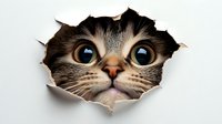 Adorable tabby kitten with big blue eyes peeking through torn paper hole, curious expression, playful pet breaking through white background for design.