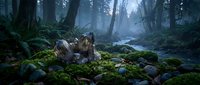 Majestic wolf resting on moss-covered rocks in misty forest with sunbeams filtering through trees creating mystical woodland atmosphere for nature designs.