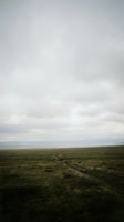 Dirt road winding through vast grassland prairie under dramatic overcast sky creating moody atmospheric landscape for nature and travel concepts.