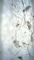 Frozen winter pond surface with natural ice patterns and trapped autumn leaves creating organic textures for seasonal backgrounds and nature designs.