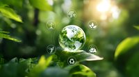 Glass earth globe with sustainability icons resting on green leaves in forest with sunlight, representing environmental conservation concept.