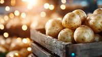 Fresh raw potatoes in rustic wooden box against blurred golden bokeh lights background, creating warm cozy atmosphere for food photography and design.