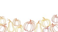 Autumn pumpkin border with hand-drawn line art gourds in warm colors on white background for seasonal designs and fall decorations.