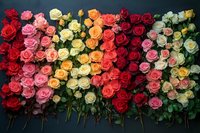 Colorful rose wall display featuring red, pink, yellow, orange, white and coral blooms arranged in gradient pattern for romantic decor and floral design projects.
