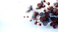 Cherry blossom branch with delicate blue petals and brown stamens on soft white background for spring design projects.