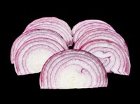Red onion slices isolated on transparent background, cut out and ready for food design, stickers, print on demand, clipart, T-shirts, and sublimation projects.