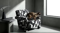 Brown cat standing on black and white geometric patterned armchair in modern minimalist interior with sunlight streaming through window.