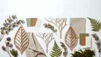 Flat lay composition with natural botanical elements, wooden leaf cutouts, color swatches and fern specimens arranged on white background for creative projects.