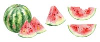Watercolor watermelon set with whole fruit and sliced pieces isolated on white, showing juicy red flesh and green rind for summer designs.
