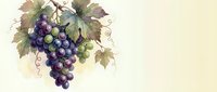 Watercolor grape cluster with green leaves and vine tendrils on cream background, perfect for wine labels, kitchen decor and culinary designs.