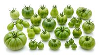 Fresh green unripe tomatoes of various sizes and varieties isolated on white background. Organic heirloom vegetables for cooking, salads and preserves.