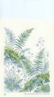 Watercolor botanical illustration featuring delicate ferns and wildflowers in soft green and purple tones for nature-inspired design projects.