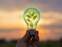 Hand holding glowing light bulb with green plant inside against sunset sky representing eco-friendly innovation and sustainable energy solutions.