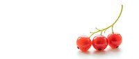 Three ripe red currant berries on a stem, isolated on white background with copy space, fresh organic fruit for food and health design.