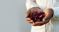 Young adult male with medium-dark skin tone wearing cream linen shirt holding fresh dark red cherries in cupped hands against neutral background for food, agriculture, harvest, and wellness content.