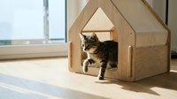 Tabby kitten sitting inside wooden house-shaped pet bed on sunny floor near window, ready for design use.