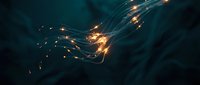Abstract flowing light trails with golden sparks creating dynamic energy waves against dark teal background for digital art and motion graphics projects.