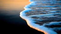 Gentle ocean wave rolling onto dark sandy beach at sunset, with white foam edge illuminated by golden light creating dramatic contrast and reflection.