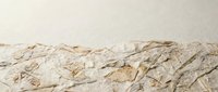 Natural handmade paper texture with organic fibers and botanical elements creating rustic craft background for artistic projects and design work.